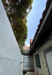 Opera Estate (D15), Terrace #591871171